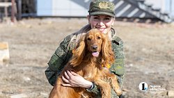 Челябинск отправил служебных собак в зону СВО для поиска пропавших