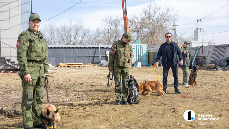 Четыре собаки из Челябинской области отправились служить в Авдеевку