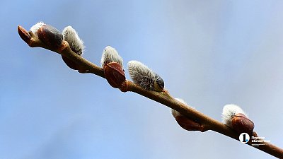 Сухим и очень теплым выдастся в Челябинской области воскресенье, 5 апреля