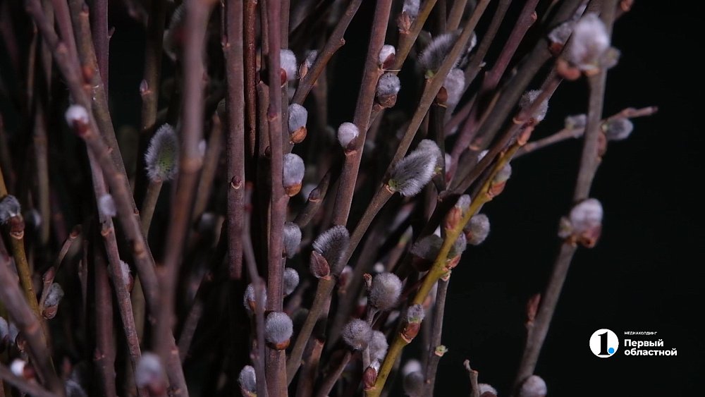 Жители Челябинской области отметят Вербное воскресенье 5 апреля