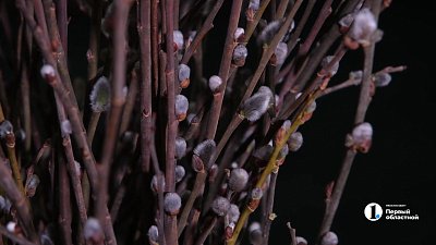 Жители Челябинской области отметят Вербное воскресенье 5 апреля