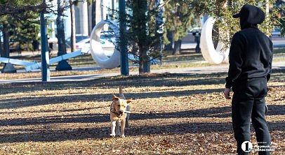 В Челябинской области 5 апреля ожидается солнечная и теплая погода