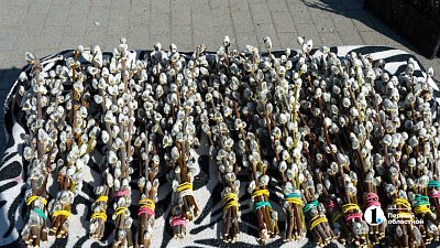 Челябинцев предупредили о штрафах за продажу вербы