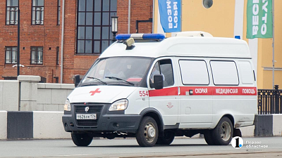 Рысь напала на женщину в Челябинской области