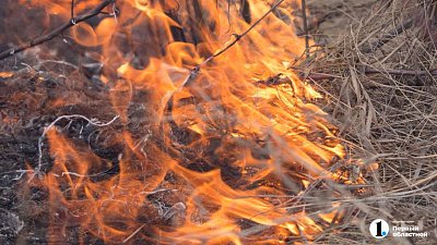 На Южном Урале потушили первые лесные пожары: пострадало около 20 га угодий