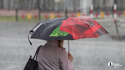 Почти месячная норма осадков выпала в Челябинской области за сутки