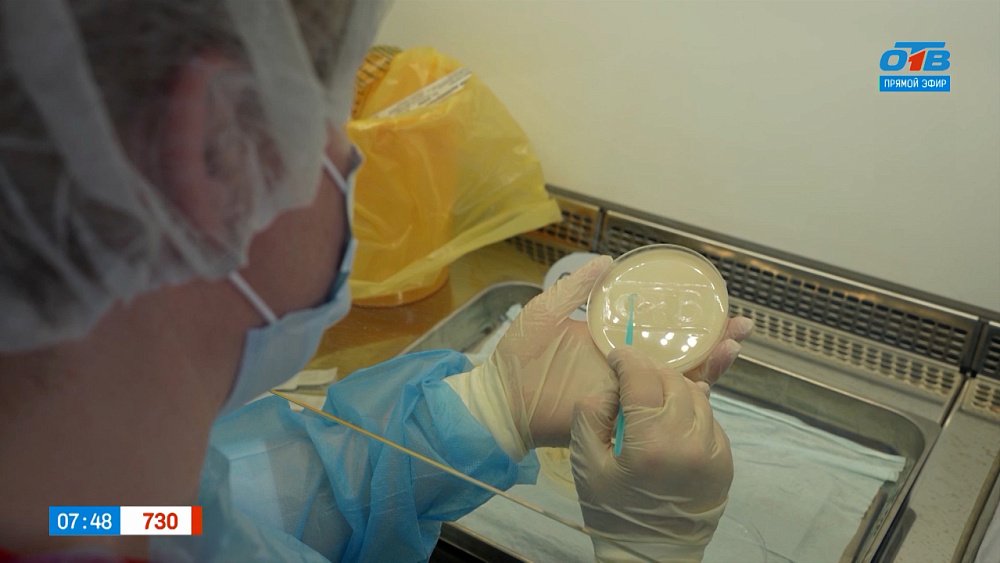 Творчество сотрудниц Станции переливания крови в сюжете «Рисунки на чашках Петри»