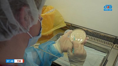 Творчество сотрудниц Станции переливания крови в сюжете «Рисунки на чашках Петри»