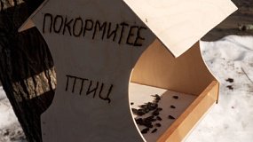 В Златоусте воспитанники детского сада мастерят домики для птиц