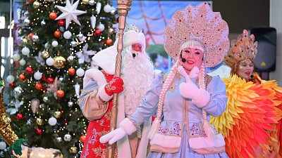 Инструкция: как выбрать искусственную елку на Новый год