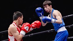 Боксеры Челябинской области завоевали десять медалей на Кубке Танкограда