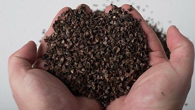 Урал начал продавать Китаю шелуху