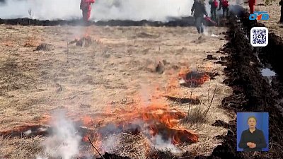 Южноуральские спасатели прошли учения по лесным пожарам