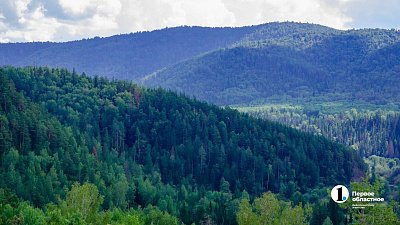 В Магнитогорске за три года высадили 400 тысяч деревьев