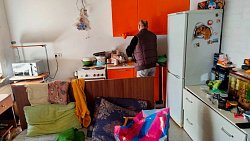 Должница бросила в ипотечной квартире семь кошек