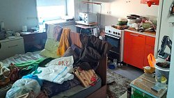 Должница бросила в ипотечной квартире семь кошек