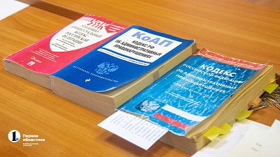 В Чесменском районе осудят мужчин, похитивших 34 тонны семечек