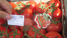 Россельхознадзор выявил опасный вирус в 18 тоннах томата в Челябинске