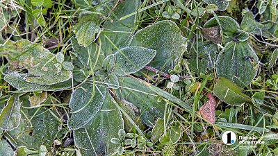 В Пасхальную ночь в Челябинске ожидаются заморозки до минус 6 градусов