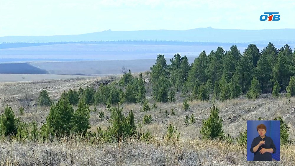 На Южном Урале квадрокоптеры помогут предотвратить пожары