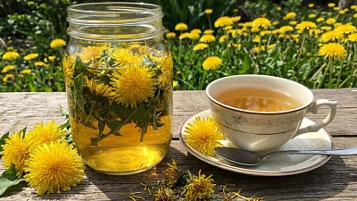 Одуванчиками можно лечить печень и ревматизм