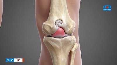 Наши рекомендации, чтобы вы всегда вставали «с той ноги» в рубрике «Медгородок»