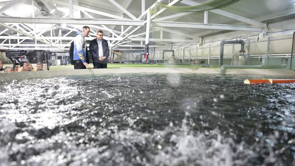Алексей Текслер оценил производственные мощности рыбокомплекса в Чебаркульском округе