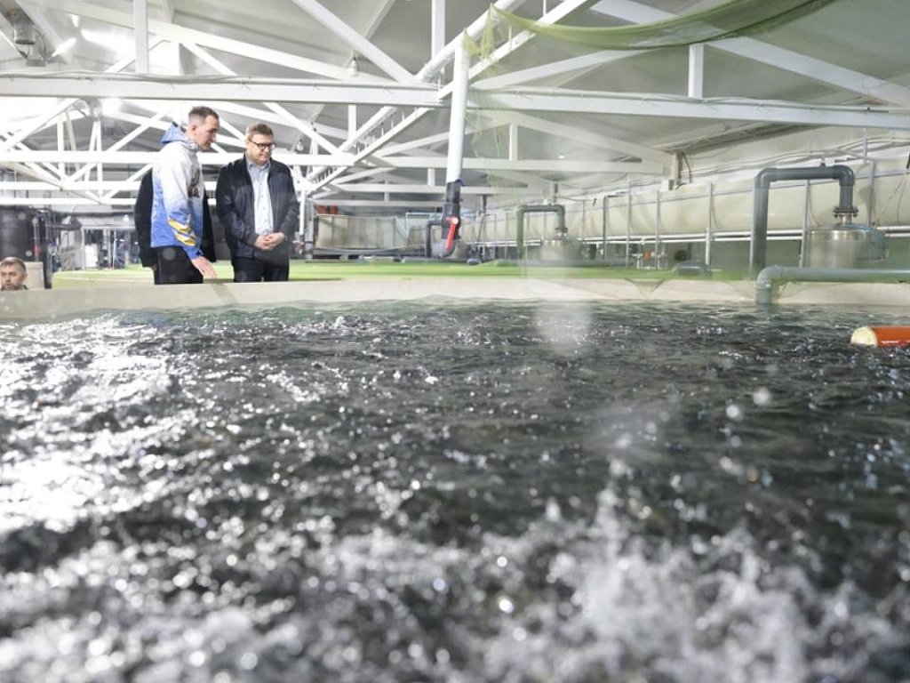 Алексей Текслер оценил производственные мощности рыбокомплекса в Чебаркульском округе