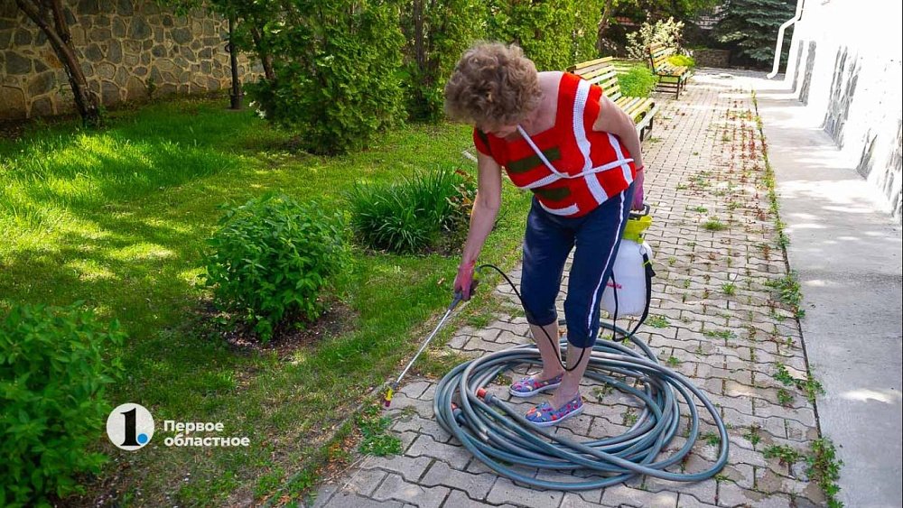 Как продавцы маркетплейсов обманывают садоводов