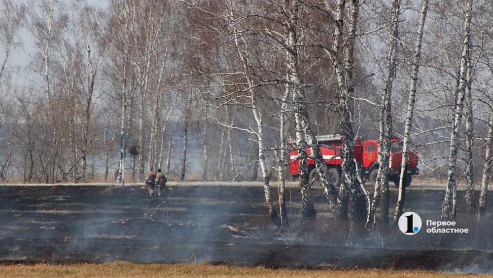 Из-за угрозы ландшафтных пожаров в Челябинской области усилят работу патрульных групп