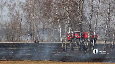 Из-за угрозы ландшафтных пожаров в Челябинской области усилят работу патрульных групп