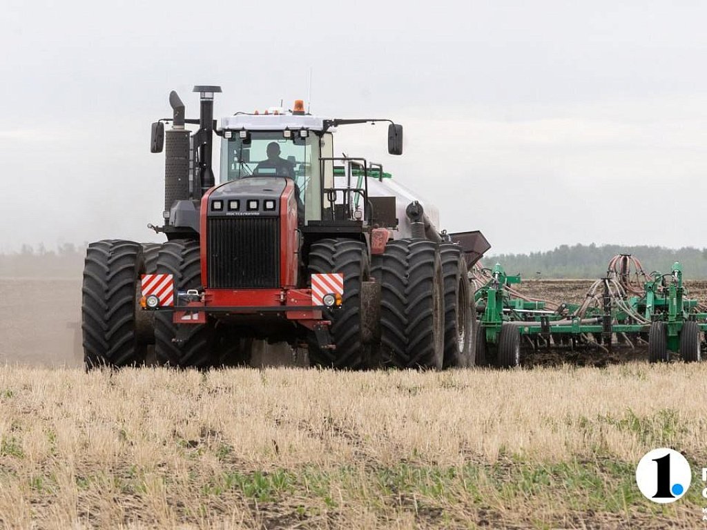 В Челябинской области увеличат площадь ярового сева почти до 1,7 млн га
