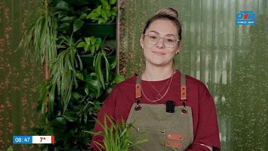 Весенняя пересадка комнатных растений в рубрике «Домашняя оранжерея»