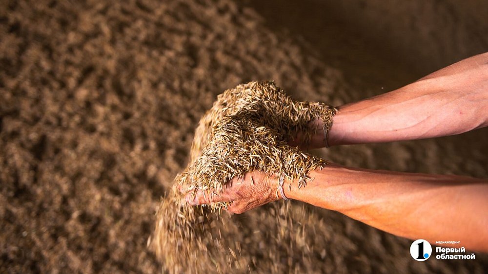 В 2026 году южноуральские аграрии подготовят к севу 2,2 млн гектаров земли