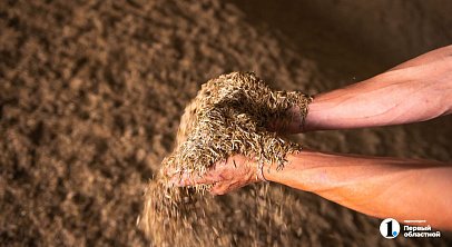 В 2026 году южноуральские аграрии подготовят к севу 2,2 млн гектаров земли