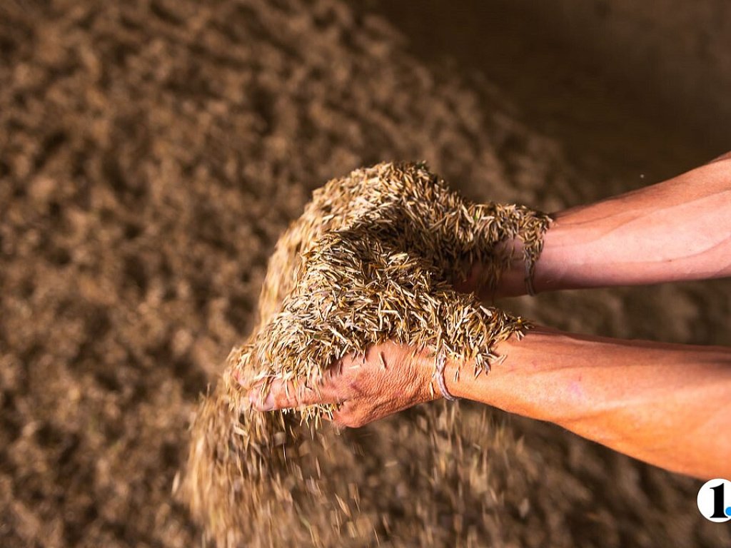 В 2026 году южноуральские аграрии подготовят к севу 2,2 млн гектаров земли