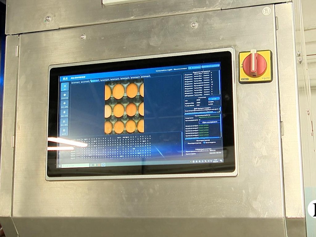 Как заводы и птицефабрики на Южном Урале осваивают искусственный интеллект