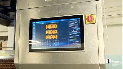 Как заводы и птицефабрики на Южном Урале осваивают искусственный интеллект