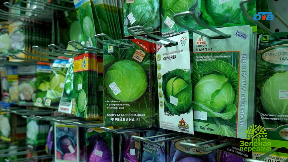 Необычные сорта капусты