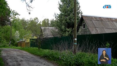 В Снежинске растет популяция грызунов и кротов