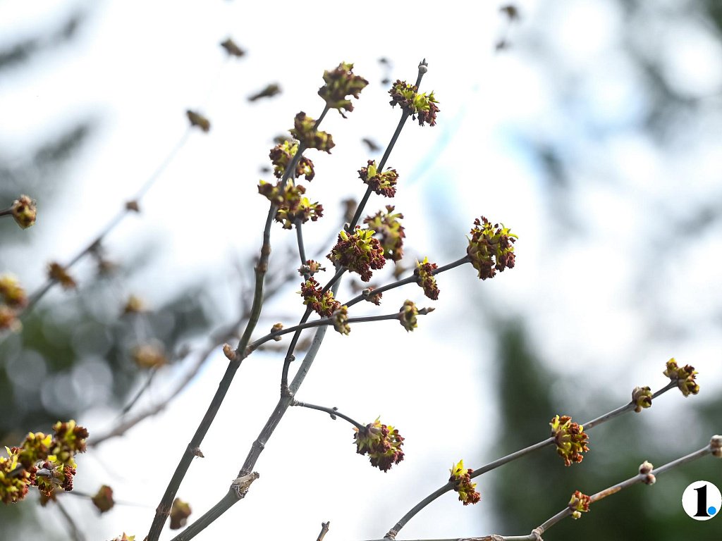 Жителям Челябинской области пообещали теплую, но хмурую погоду 19 апреля