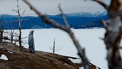 Башкирская группа AY YOLA сняла клип к новой песне на Байкале