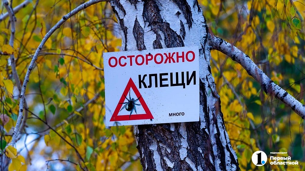 На Южном Урале выявили первый в 2026 году случай боррелиоза после укуса клеща