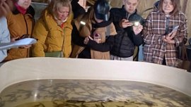 На Южном Урале откроют новые объекты агротуризма к лету