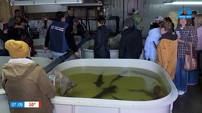 Про «рыбов», башкирских скакунов и цветущие сады — в рубрике «Мой бизнес. Агротуризм»