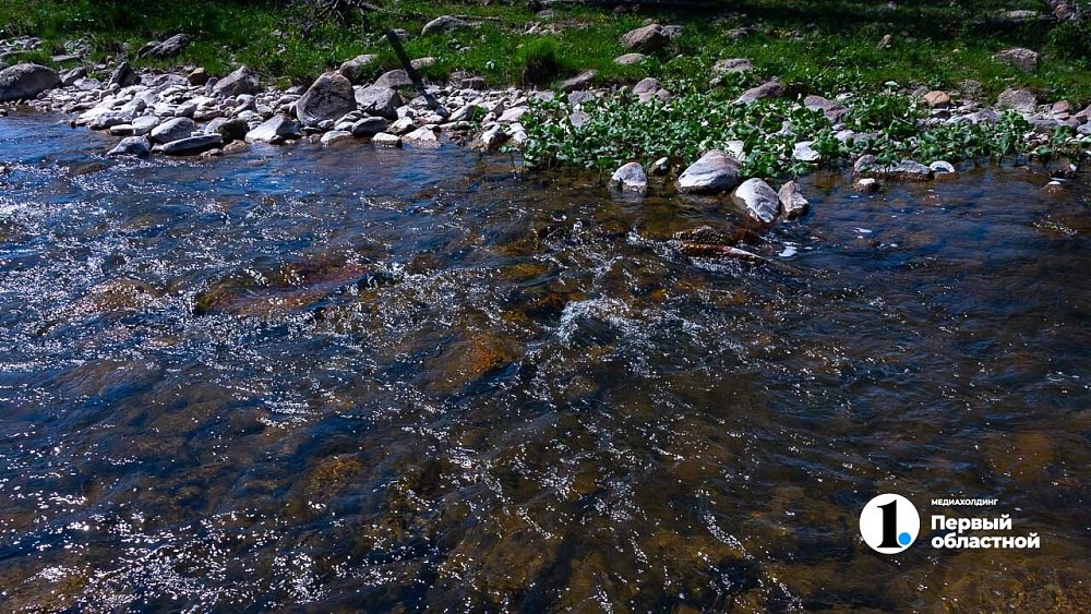 Майские на Крайнем Севере — как насыщенно, но экономно отдохнуть на Ямале