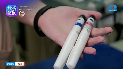 Откуда у питомцев диабет? — в рубрике «Усы, лапы и хвост»