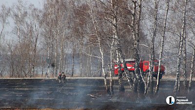 В Еткульском округе ограничили въезд в три бора из‑за противопожарного режима