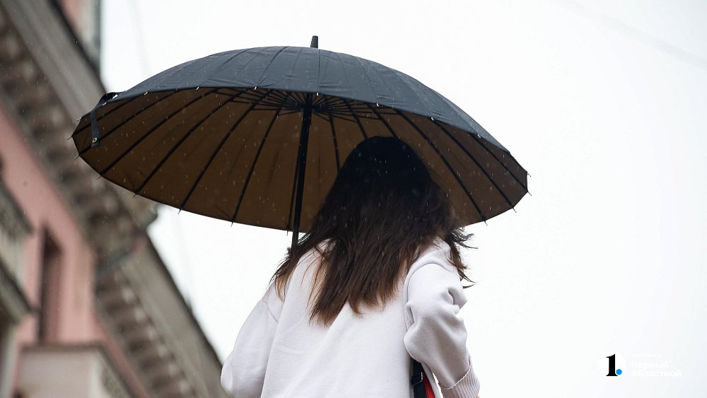 Дождь и сильный ветер ждут жителей Челябинской области 23 апреля