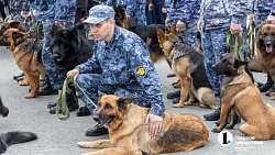 На главной площади Челябинска прошла первая репетиция парада Победы